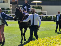Shoemark steers Up The Pace to victory to triumph at Ascot