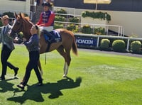 Peter Moore column: Shoemark experiences week he would like to forget