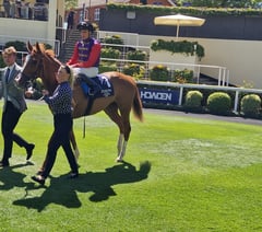 Peter Moore column: Shoemark experiences week he would like to forget