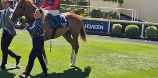 Peter Moore column: Shoemark experiences week he would like to forget