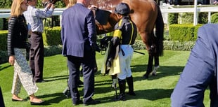 Doyle breaks record on Victoria Cup Raceday at Ascot