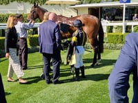 Doyle breaks record on Victoria Cup Raceday at Ascot