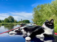 Floating his boat: the cat who loves life on water