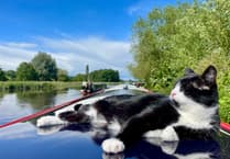 Floating his boat: the cat who loves life on water