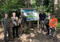 New signage at Surrey Hills nature reserve unveiled