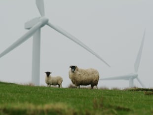 Clean energy jobs boom to create 30,000 roles in South East