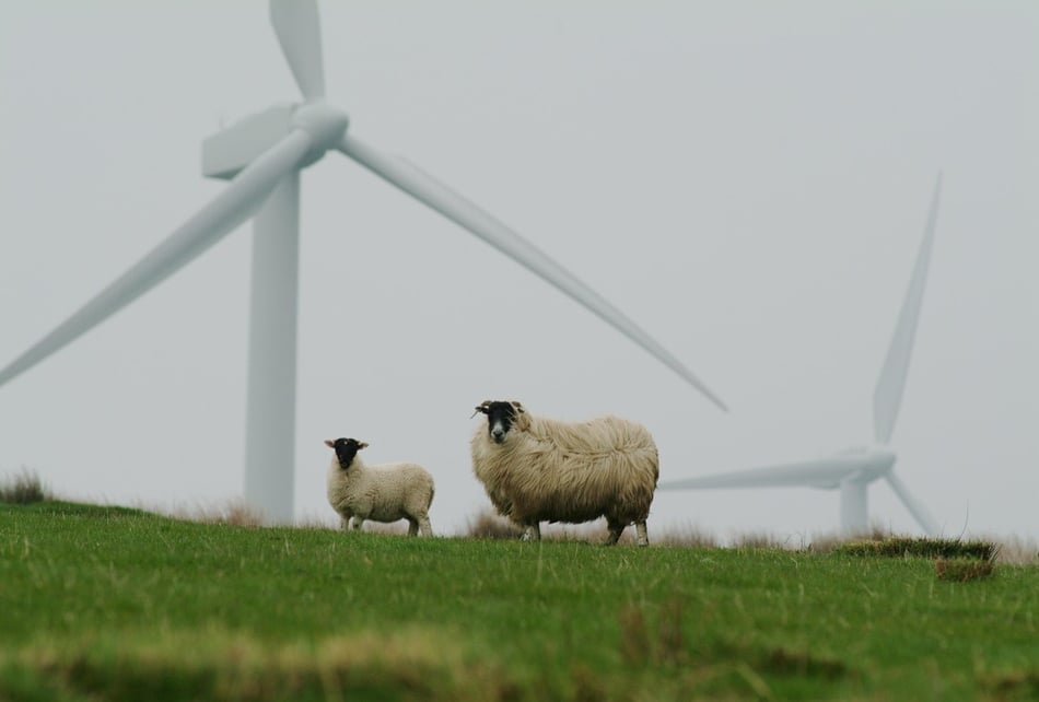 Clean energy jobs boom to create 30,000 roles in South East