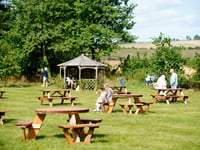 National Beer Garden Day: celebrate by supporting your local in Woking, as pubs and bars continue to shut across the UK
