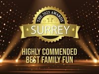 ShyneFest honoured at Surrey Awards