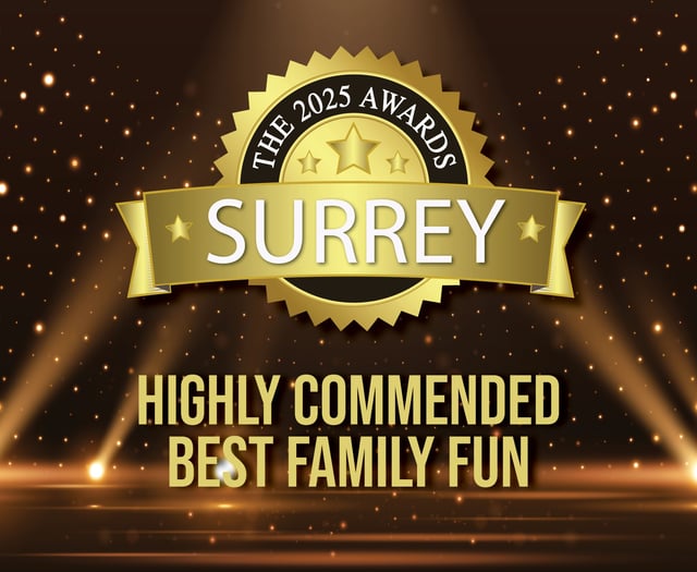 ShyneFest honoured at Surrey Awards