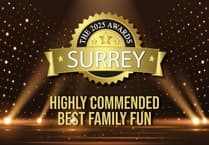 ShyneFest honoured at Surrey Awards