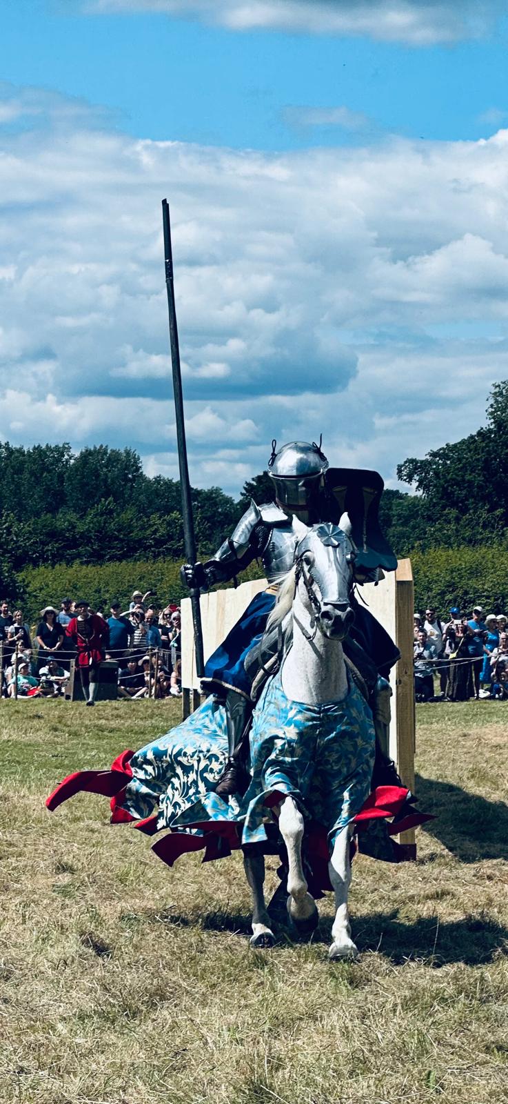 Hosting Henry VIII WHP joust