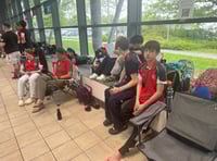 Woking Swimming Club impress at regional championships