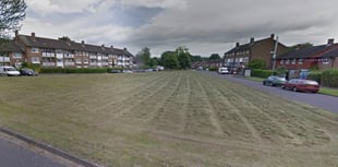 Police appeal launched as dog kicked by man waving fake gun