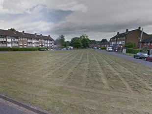 Police appeal launched as dog kicked by man waving fake gun