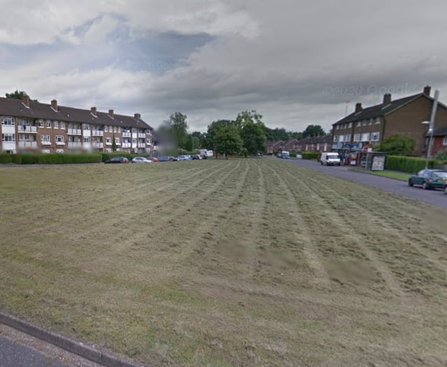 Police appeal launched as dog kicked by man waving fake gun