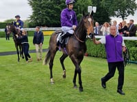 Peter Moore racing column: Field Of Gold wins Irish 2,000 Guineas