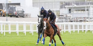 Peter Moore horse racing column: Aidan O'Brien wins 17th Irish Derby