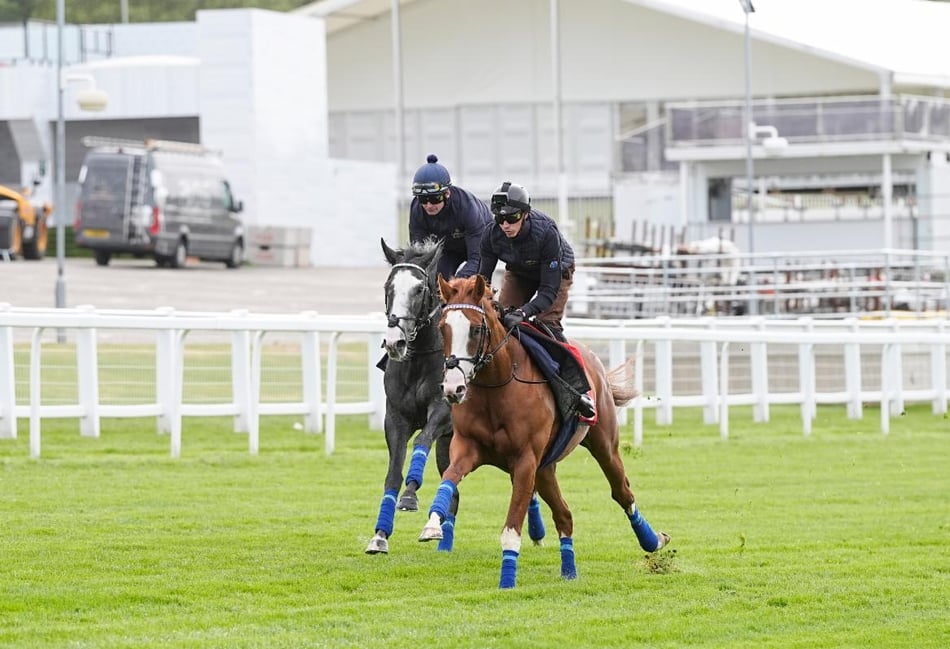 Peter Moore horse racing column: Aidan O'Brien wins 17th Irish Derby