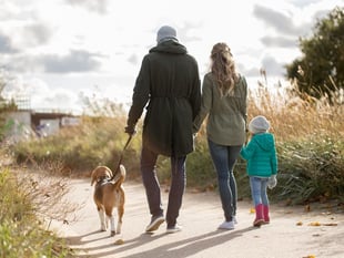 Keep your child safe around pets