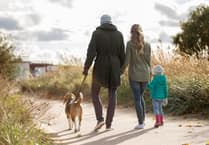 Keep your child safe around pets