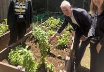 MP opens allotment set to boost wellbeing