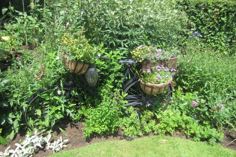 Horsell Garden Safari 2025