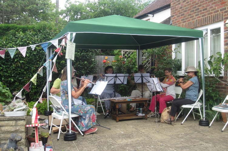 Horsell Garden Safari 2025