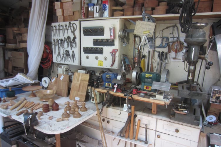 Horsell Garden safari 2025