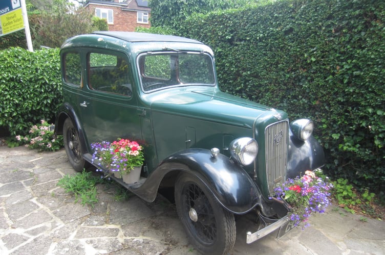 Horsell Garden safari 2025