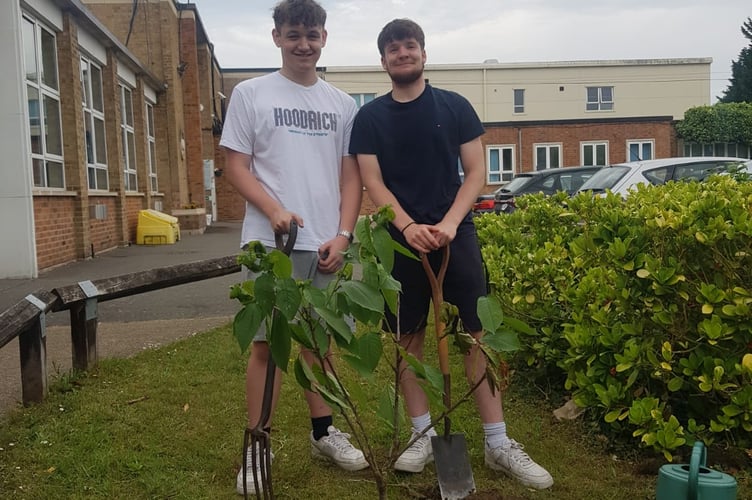 Fullbrook tree planting