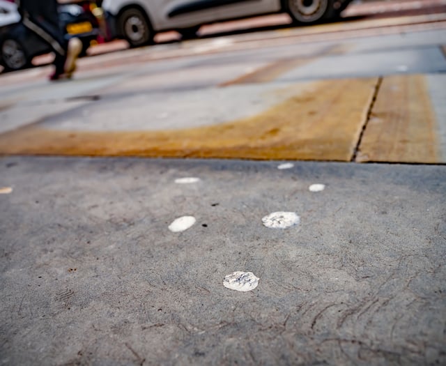 Stick no more: Councils chew over £26k grant for street clean-up