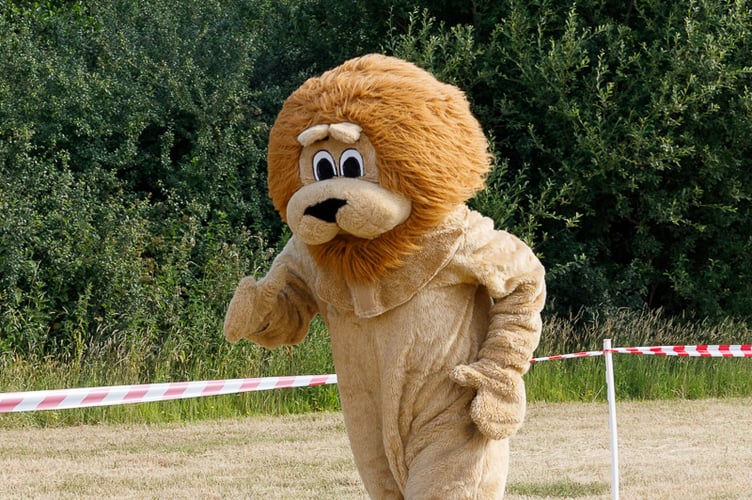 Martian Race 2025 Lion