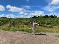 WATCH: Is everything rosé in our local wine industry?