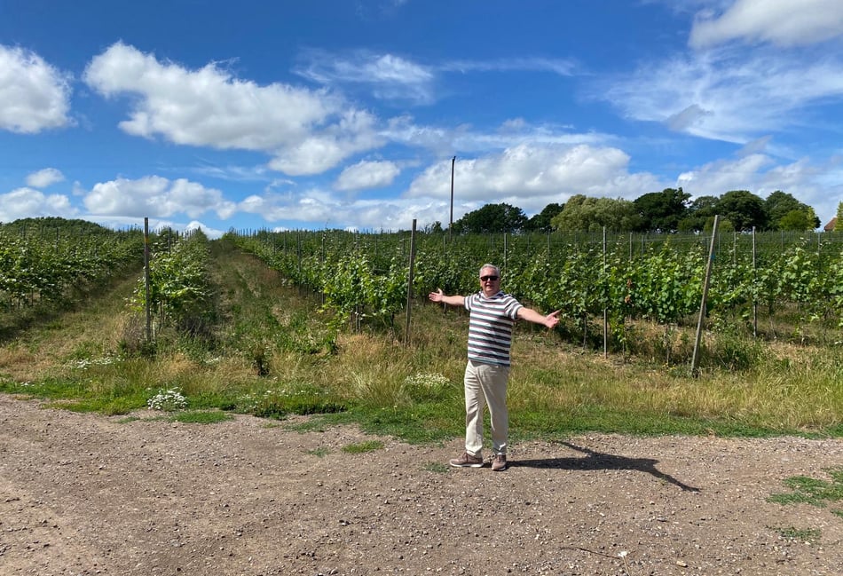 WATCH: Is everything rosé in our local wine industry?