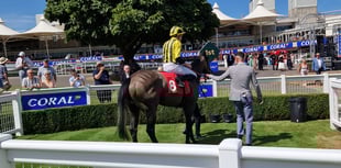 Buick nears milestone at Sandown