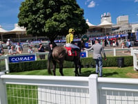 Buick nears milestone at Sandown