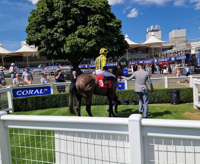 Buick nears milestone at Sandown