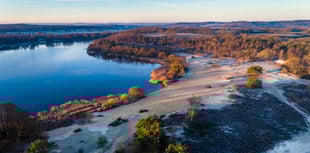 Surrey calls for changes to 'deeply damaging' planning bill