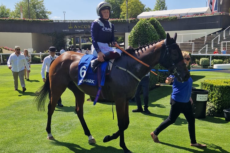 Knights Gold with Elizabeth Gale in the saddle (Photo: Peter Moore)