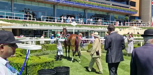Trojan Storm wins King Edward VII Ascot Membership Handicap