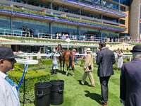 Trojan Storm wins King Edward VII Ascot Membership Handicap