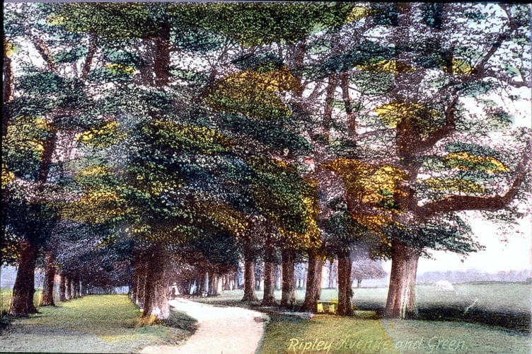 Limes on the Green