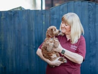 Could you train puppy to help change lives?