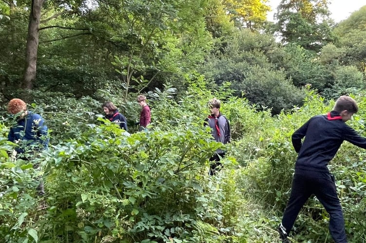 Martian Explorer Scouts