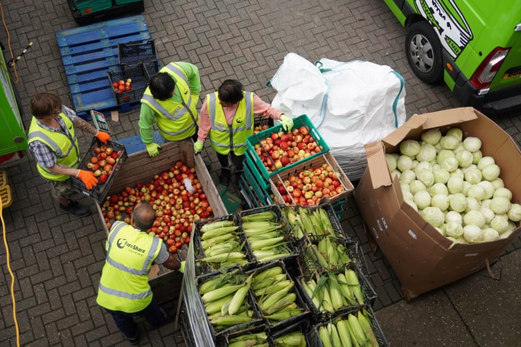 Volunteers sorting fresh produce