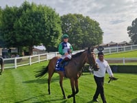 Dangerman produces impressive performance to win at Sandown Park