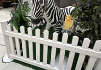 Call of the wild is roaring success