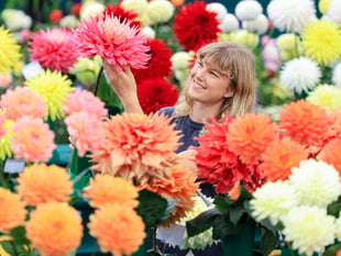 Blooms in abundance at RHS Wisley show