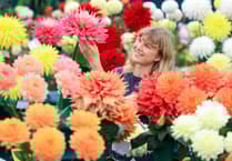 Blooms in abundance at RHS Wisley show